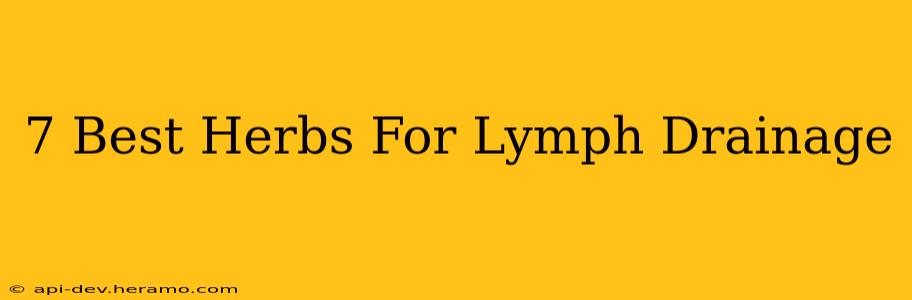 7 Best Herbs For Lymph Drainage