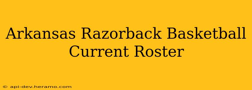 Arkansas Razorback Basketball Current Roster