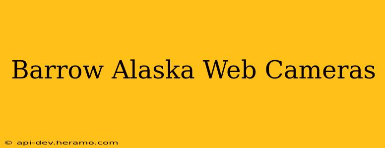 Barrow Alaska Web Cameras