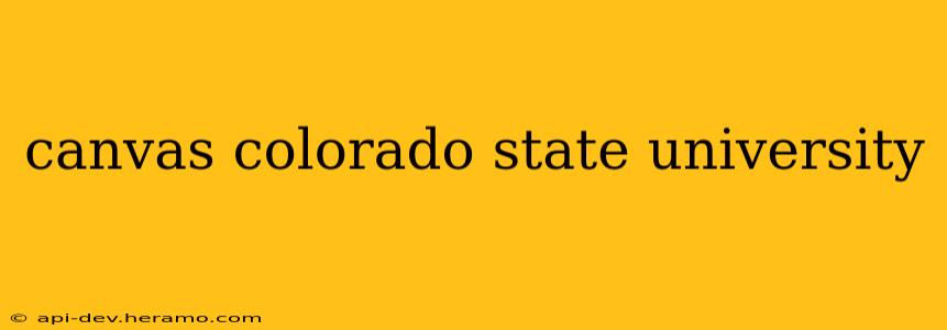 canvas colorado state university