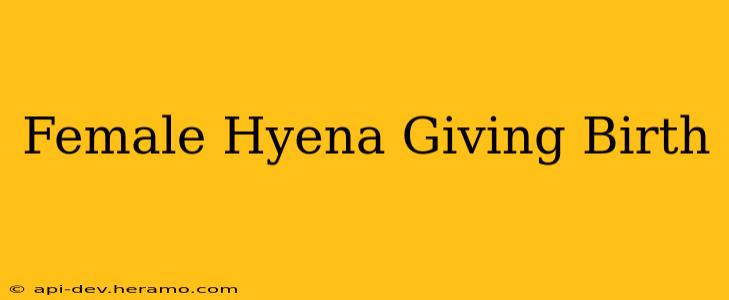Female Hyena Giving Birth