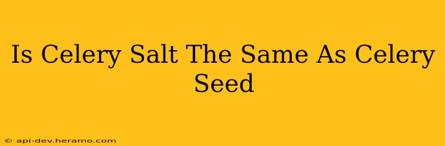 Is Celery Salt The Same As Celery Seed