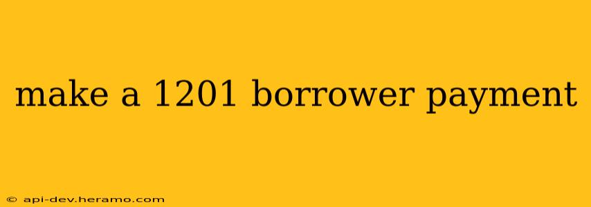 make a 1201 borrower payment