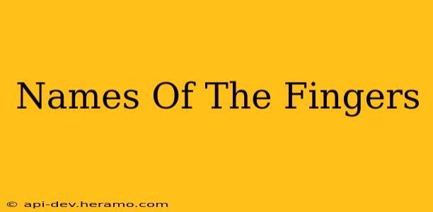 Names Of The Fingers