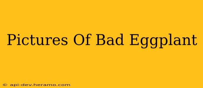 Pictures Of Bad Eggplant