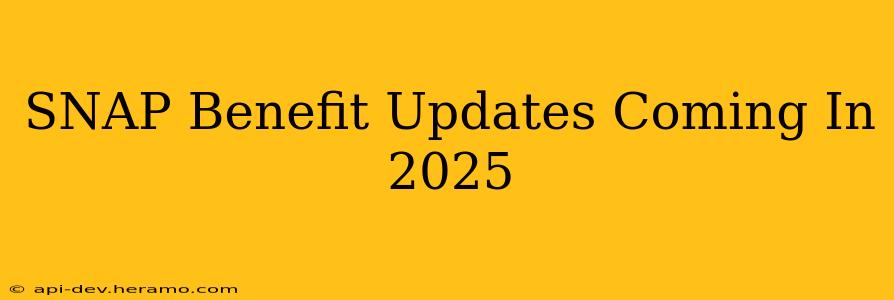 SNAP Benefit Updates Coming In 2025