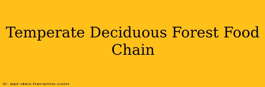 Temperate Deciduous Forest Food Chain