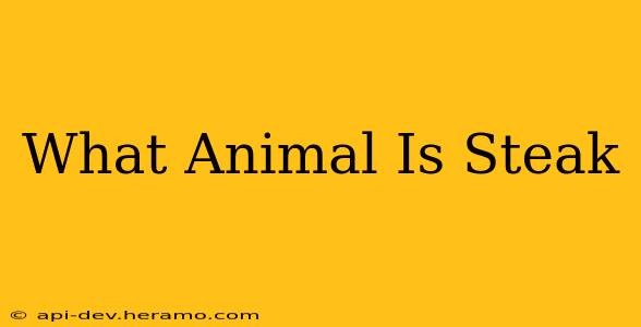 What Animal Is Steak