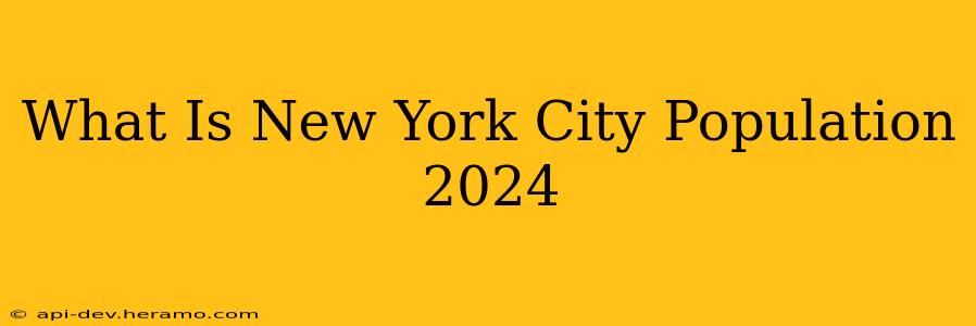 What Is New York City Population 2024