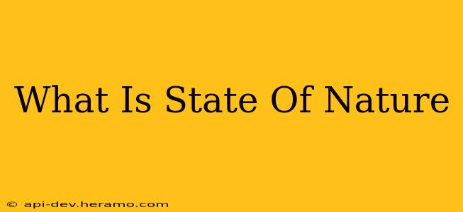 What Is State Of Nature
