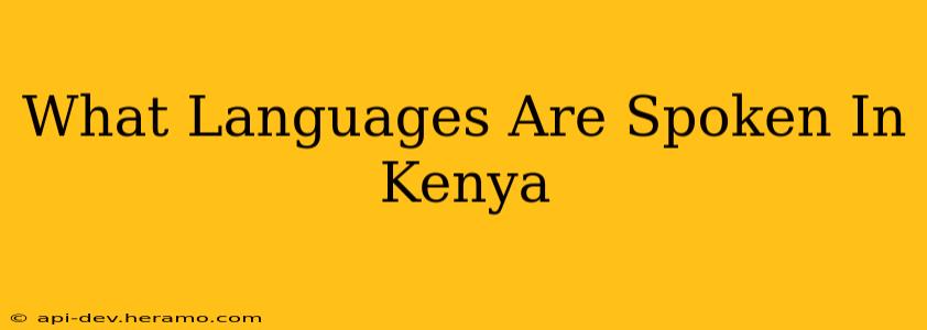 What Languages Are Spoken In Kenya