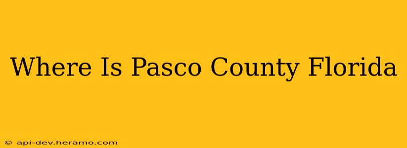 Where Is Pasco County Florida
